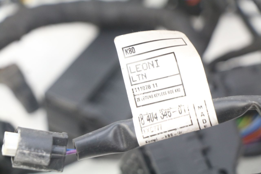 photo de Cablaggio BMW F GS K81 850 (2018 - 2023) - Dettaglio del componente