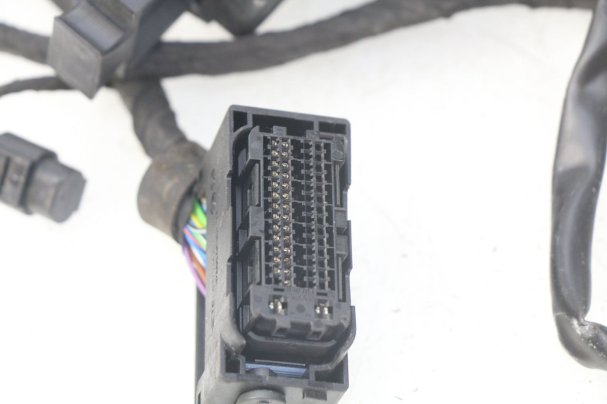 photo de Cablaggio BMW F GS K81 850 (2018 - 2023) - Vista d'insieme del prodotto