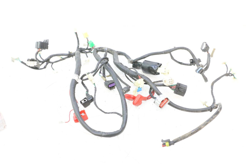 photo de FAISCEAU JM MOTORS F45i 4T 50 (2020 - 2023) - Vista principale