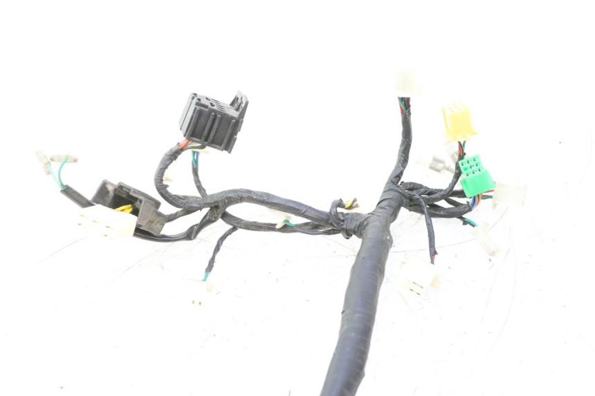 photo de FAISCEAU JM MOTORS F45i 4T 50 (2020 - 2023) - Dettaglio del componente