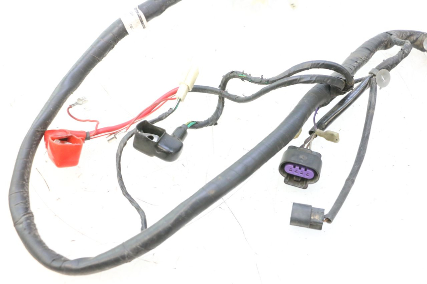 photo de FAISCEAU JM MOTORS F45i 4T 50 (2020 - 2023) - Altra angolazione