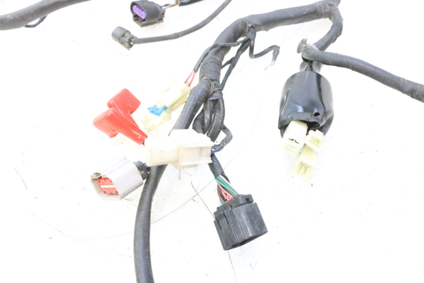 photo de FAISCEAU JM MOTORS F45i 4T 50 (2020 - 2023) - Primo piano tecnico
