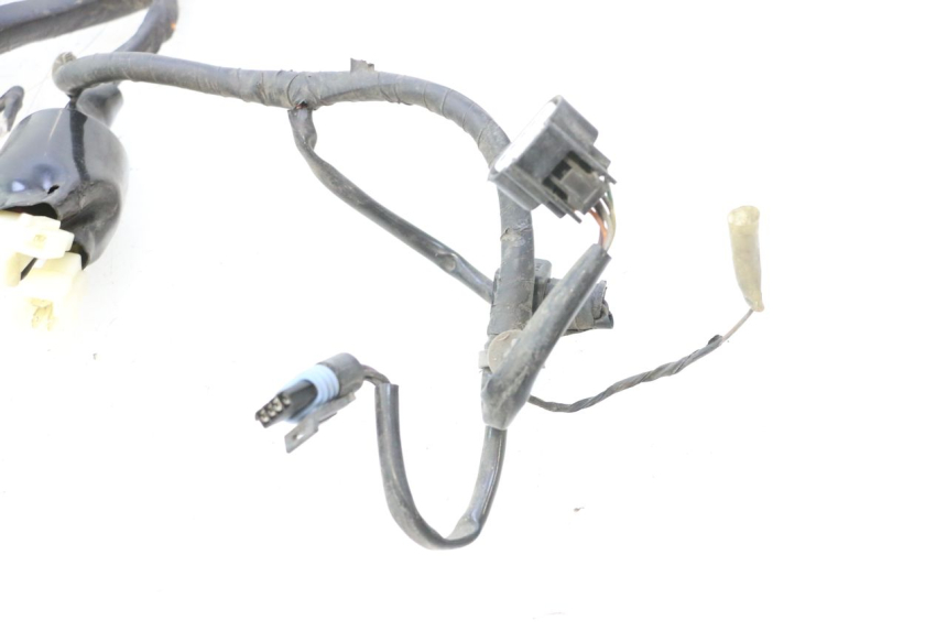 photo de FAISCEAU JM MOTORS F45i 4T 50 (2020 - 2023) - Vista d'insieme del prodotto