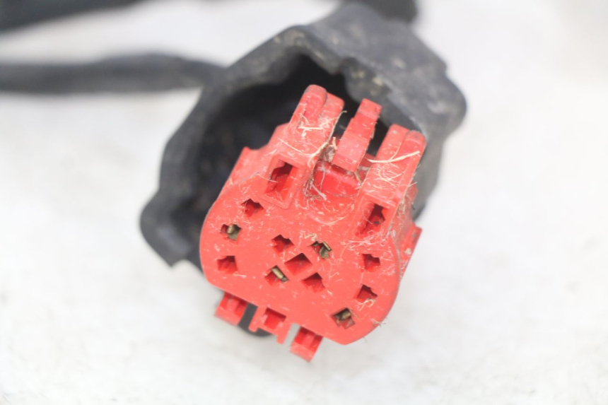 photo de FAISCEAU HONDA FES PANTHEON 125 (2003 - 2007) - Primo piano ad alta risoluzione