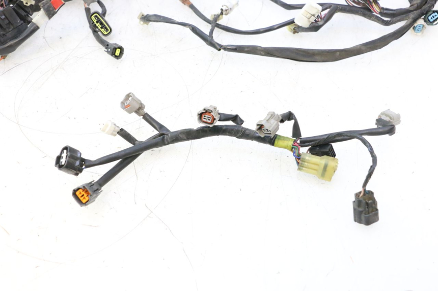 photo de IMPIANTO ELETTRICO YAMAHA FJR 1300 (2001 - 2005) - Focus sulla struttura