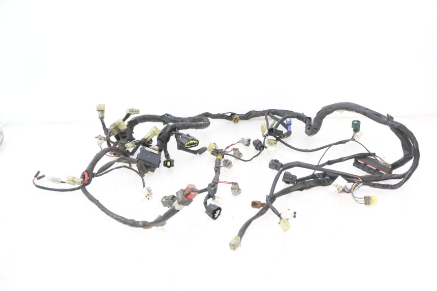 photo de IMPIANTO ELETTRICO YAMAHA FJR 1300 (2001 - 2005) - Vista principale