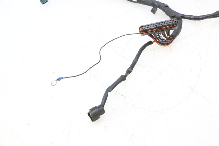 photo de IMPIANTO ELETTRICO YAMAHA FJR 1300 (2001 - 2005) - Primo piano tecnico