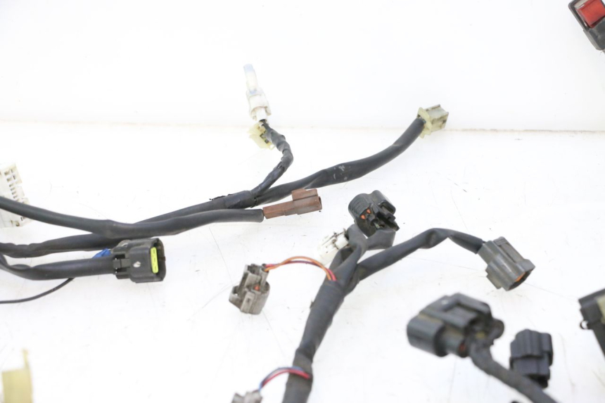 photo de IMPIANTO ELETTRICO YAMAHA FJR 1300 (2001 - 2005) - Marcature e riferimenti originali