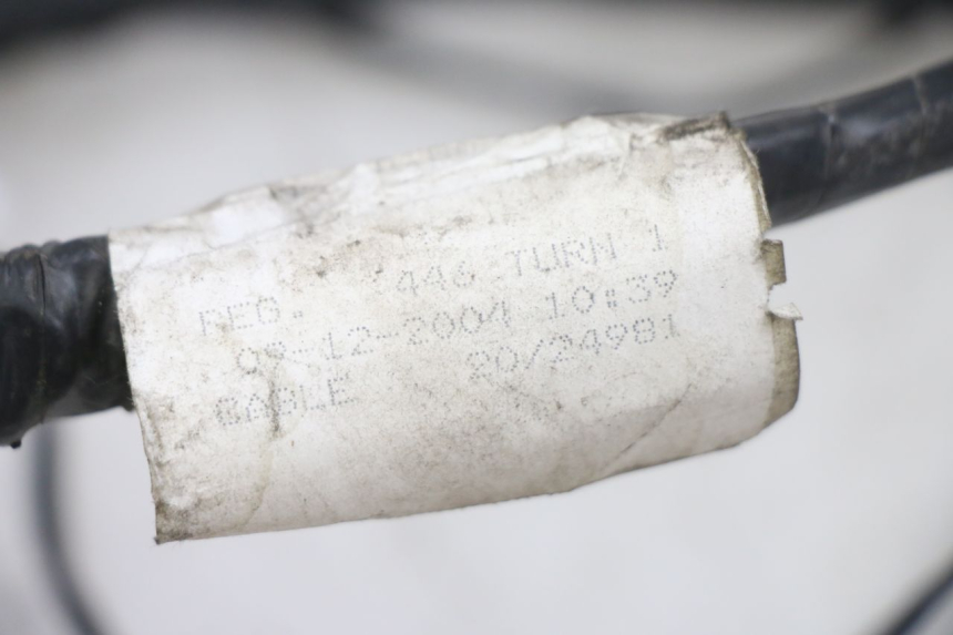 photo de FAISCEAU PIAGGIO FLY 125 (2005 - 2012) - Zoom sullo stato d'uso