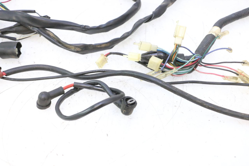 photo de IMPIANTO ELETTRICO KEEWAY FOCUS 50 (2006 - 2009) - Caratteristiche distintive