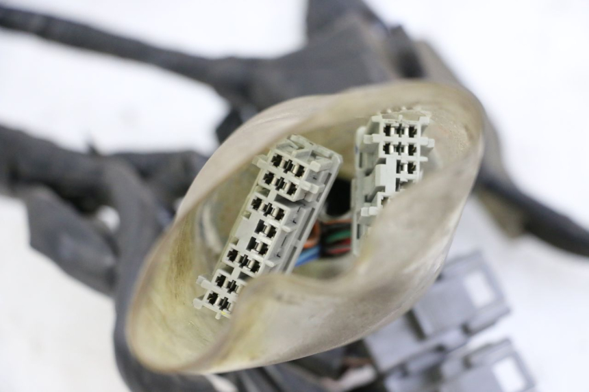 photo de IMPIANTO ELETTRICO HONDA FORZA ABS 300 (2013 - 2017) - Primo piano tecnico