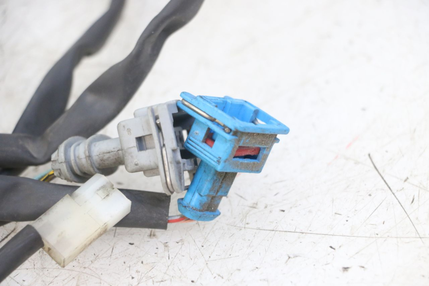 photo de IMPIANTO ELETTRICO PEUGEOT GEOPOLIS RS 125 (2007 - 2009) - Dettaglio del componente