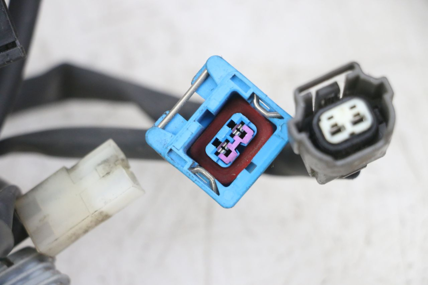 photo de IMPIANTO ELETTRICO PEUGEOT GEOPOLIS RS 125 (2007 - 2009) - Altra angolazione