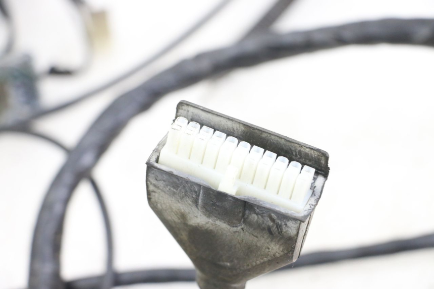 photo de IMPIANTO ELETTRICO PEUGEOT GEOPOLIS RS 125 (2007 - 2009) - Zoom sullo stato d'uso