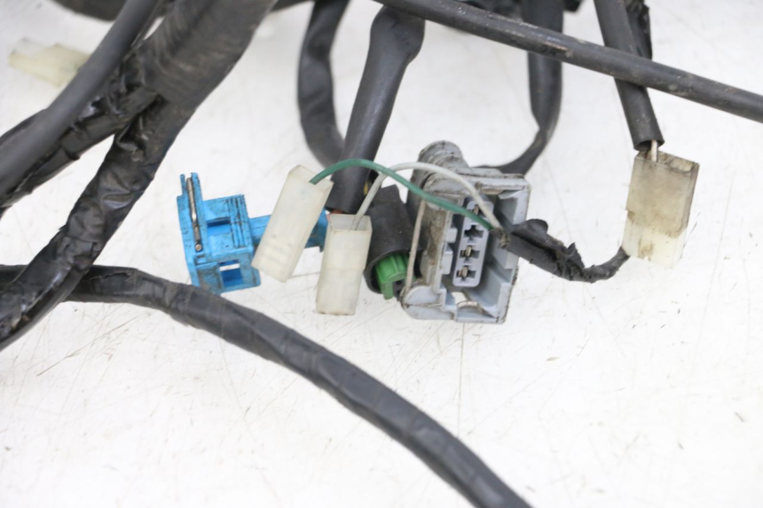 photo de IMPIANTO ELETTRICO PEUGEOT GEOPOLIS RS 125 (2007 - 2009) - Primo piano tecnico