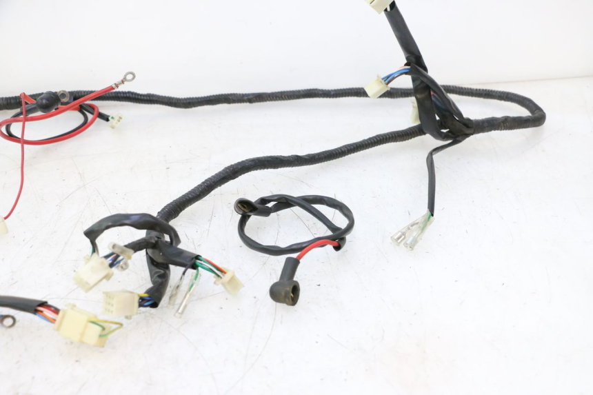 photo de IMPIANTO ELETTRICO VASTRO GP 2T 50 (2013 - 2017) - Marcature e riferimenti originali