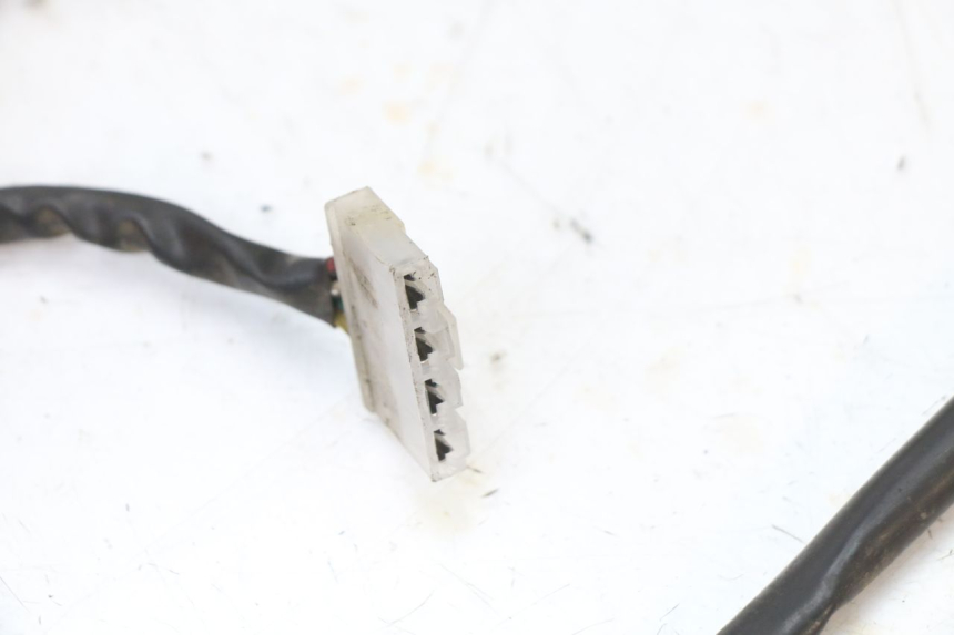 photo de FAISCEAU EUROCKA GTR 50 (2007 - 2017) - Primo piano tecnico