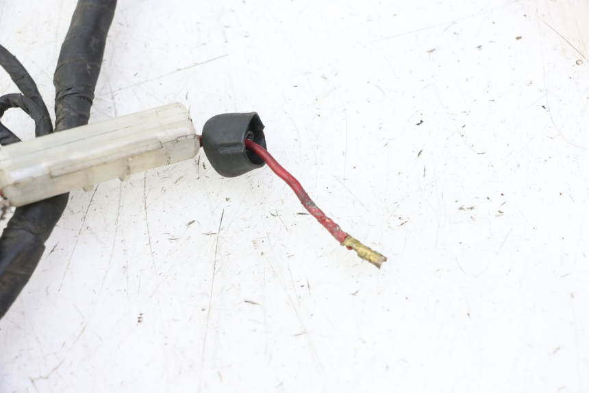 photo de FASCIO DAELIM HISTORY 125 (2001 - 2002) - Altra angolazione