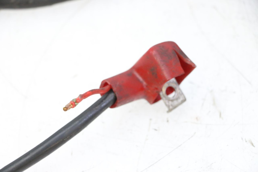 photo de FASCIO DAELIM HISTORY 125 (2001 - 2002) - Vista d'insieme del prodotto