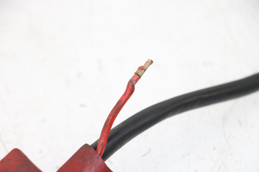 photo de FASCIO DAELIM HISTORY 125 (2001 - 2002) - Dettagli dei punti di fissaggio