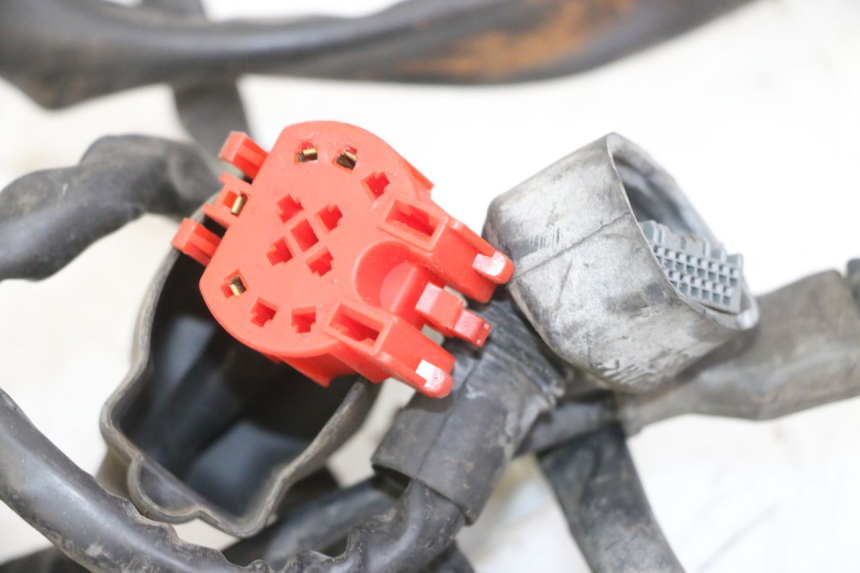 photo de IMPIANTO ELETTRICO PIAGGIO IE MP3 YOURBAN 300 (2011 - 2016) - Marcature e riferimenti originali