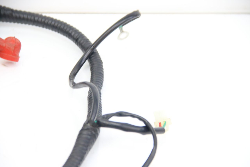 photo de FAISCEAU REVATTO IMPERATOR 125 (2007 - 2015) - Dettaglio del componente