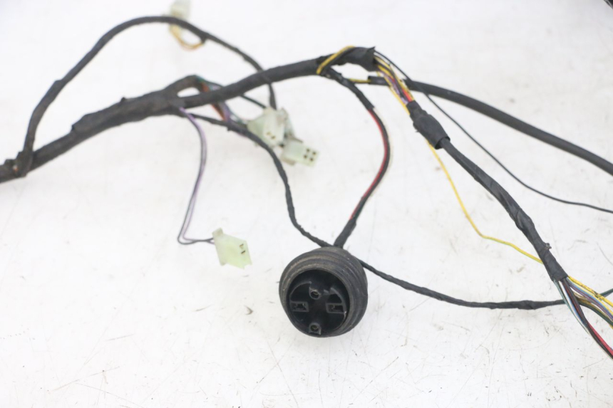 photo de IMPIANTO ELETTRICO PEUGEOT JET FORCE CARBU 50 (2003 - 2016) - Altra angolazione