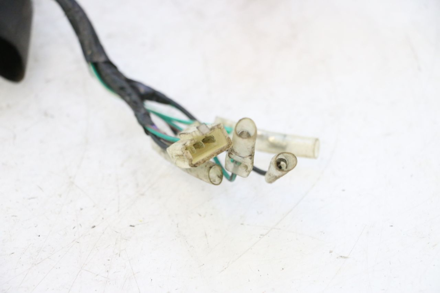 photo de Cablaggio RIDE JUMP 2T 50 (2012 - 2017) - Dettaglio del componente