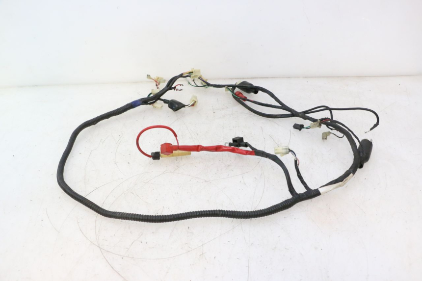 photo de Cablaggio RIDE JUMP 2T 50 (2012 - 2017) - Primo piano tecnico