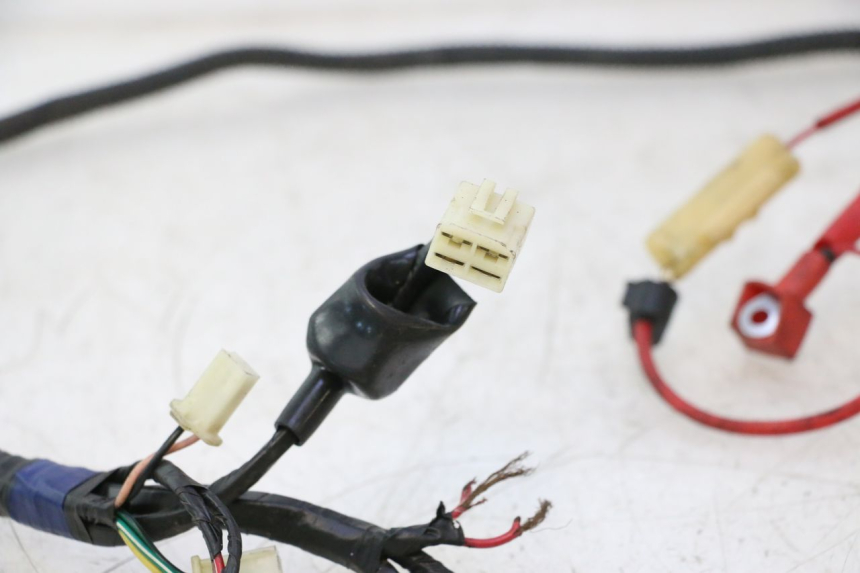 photo de Cablaggio RIDE JUMP 2T 50 (2012 - 2017) - Ricambio usato controllato