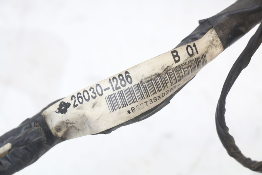 photo de Cablaggio KAWASAKI GTR 1000 (1994 - 2004) - Dettaglio del componente