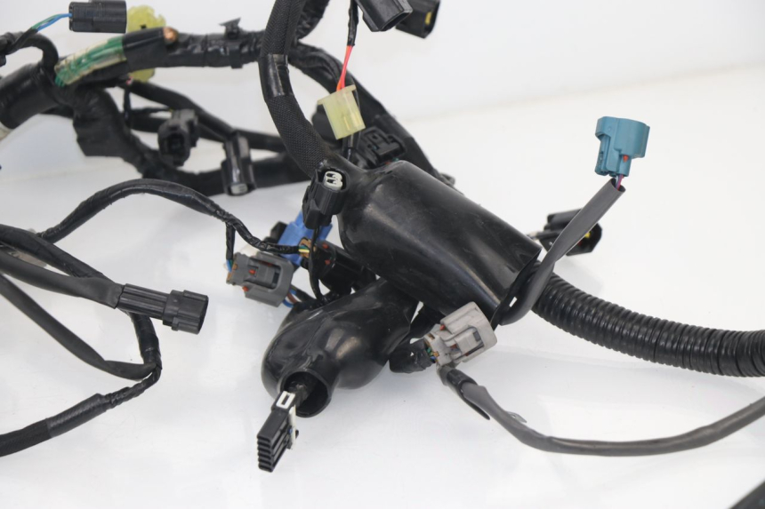 photo de Cablaggio KAWASAKI Z800 Z ABS 800 (2013 - 2017) - Caratteristiche distintive