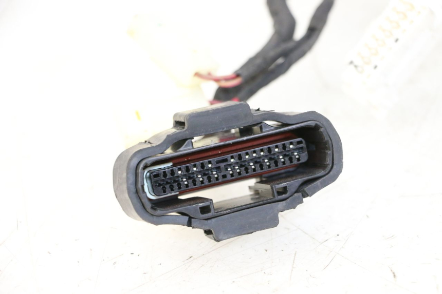 photo de IMPIANTO ELETTRICO KIDEN KD125-G 125 (2018 - 2022) - Marcature e riferimenti originali