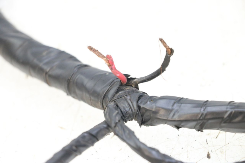 photo de IMPIANTO ELETTRICO PEUGEOT KISBEE 2T 50 (2018 - 2022) - Ricambio usato controllato