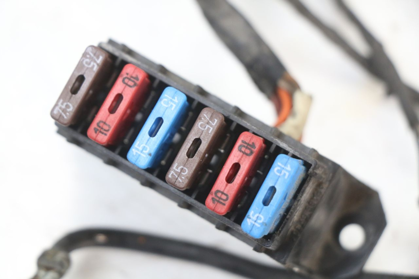 photo de IMPIANTO ELETTRICO RENAULT KOURANOS 125 (2001 - 2004) - Vista d'insieme del prodotto