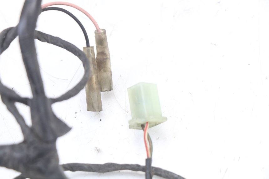 photo de IMPIANTO ELETTRICO RENAULT KOURANOS 125 (2001 - 2004) - Dettagli dei punti di fissaggio