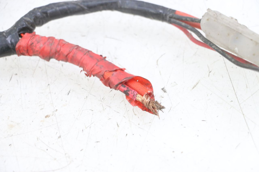 photo de FAISCEAU KYMCO DINK 4T 50 (2007 - 2018) - Vista d'insieme del prodotto