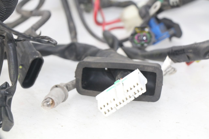 photo de FAISCEAU PIAGGIO LIBERTY IGET 4T 50 (2015 - 2020) - Vista d'insieme del prodotto