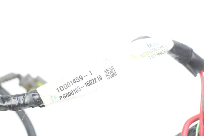 photo de FAISCEAU PIAGGIO LIBERTY IGET 4T 50 (2015 - 2020) - Vista d'insieme del prodotto