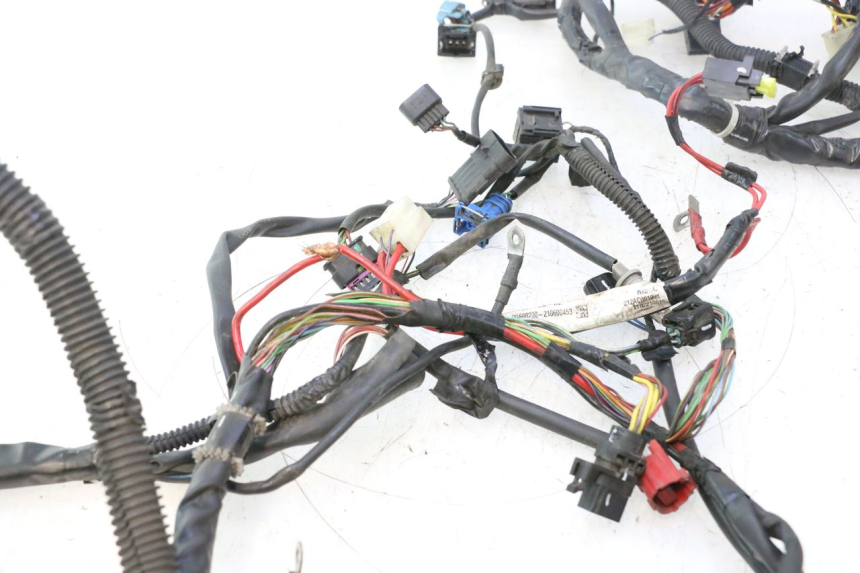 photo de IMPIANTO ELETTRICO PIAGGIO LIBERTY IGET 4T 50 (2021 - 2025) - Focus sulla struttura