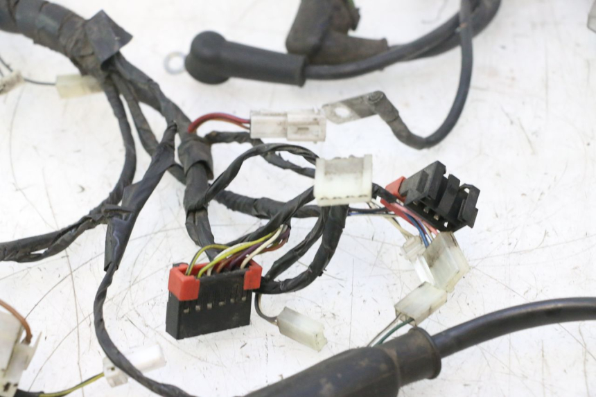 photo de IMPIANTO ELETTRICO PIAGGIO LIBERTY 125 (1998 - 2008) - Altra angolazione
