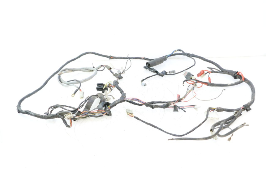photo de IMPIANTO ELETTRICO PIAGGIO LIBERTY 50 (1998 - 2003) - Vista principale