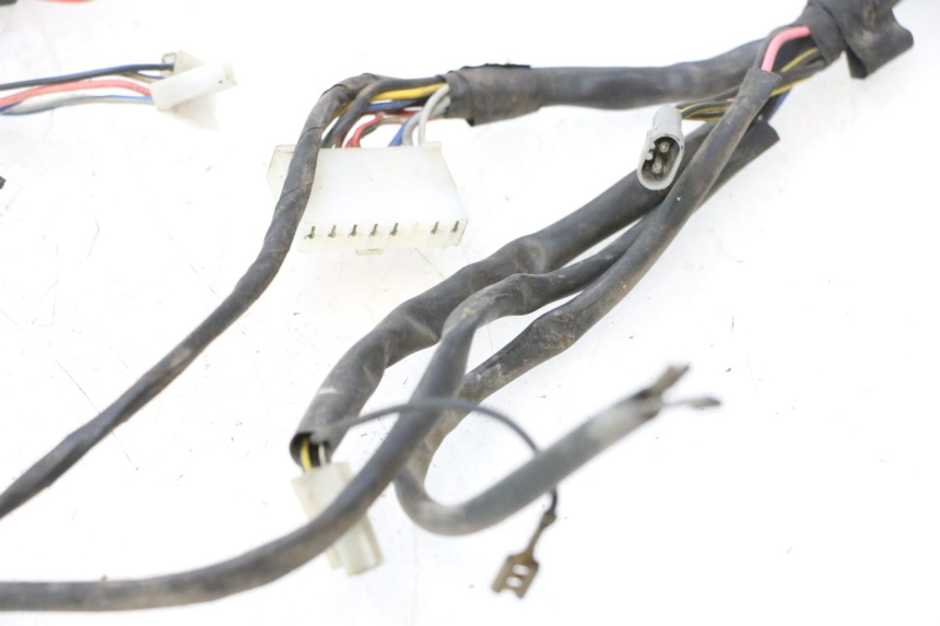 photo de IMPIANTO ELETTRICO PIAGGIO LIBERTY 50 (1998 - 2003) - Angolazione alternativa