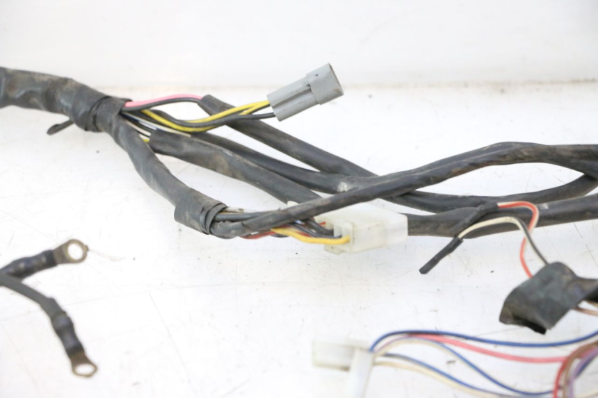 photo de IMPIANTO ELETTRICO PIAGGIO LIBERTY 50 (1998 - 2003) - Primo piano tecnico