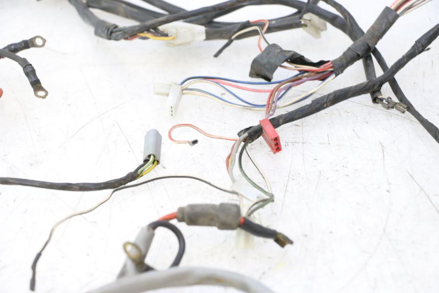 photo de IMPIANTO ELETTRICO PIAGGIO LIBERTY 50 (1998 - 2003) - Ricambio usato controllato