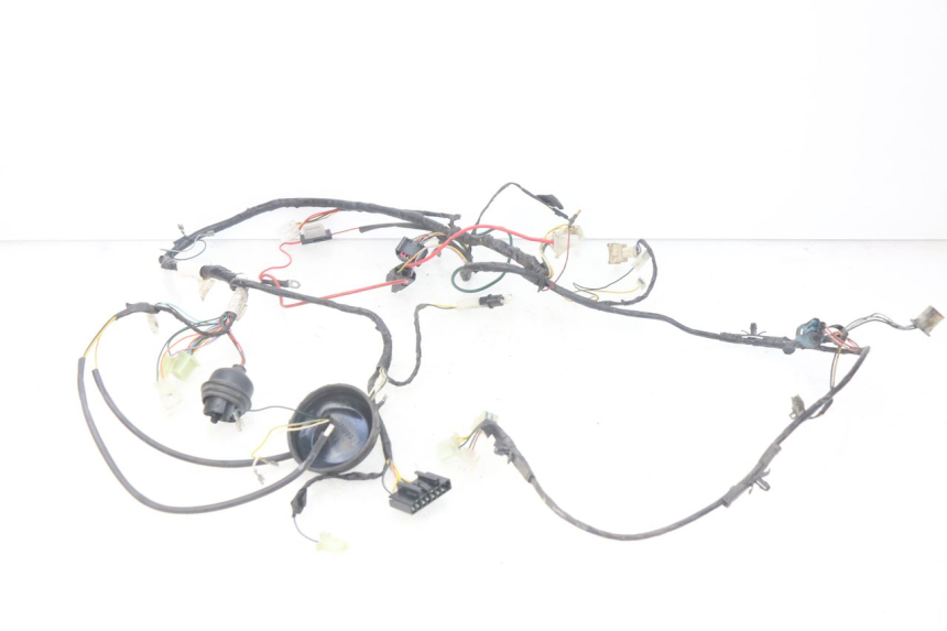 photo de IMPIANTO ELETTRICO PEUGEOT LUDIX BLASTER 50 (2006 - 2014) - Vista d'insieme del prodotto