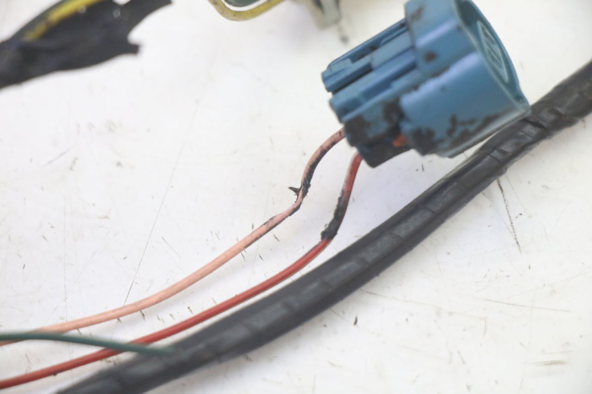 photo de IMPIANTO PEUGEOT LUDIX 50 (2008 - 2017) - Primo piano tecnico