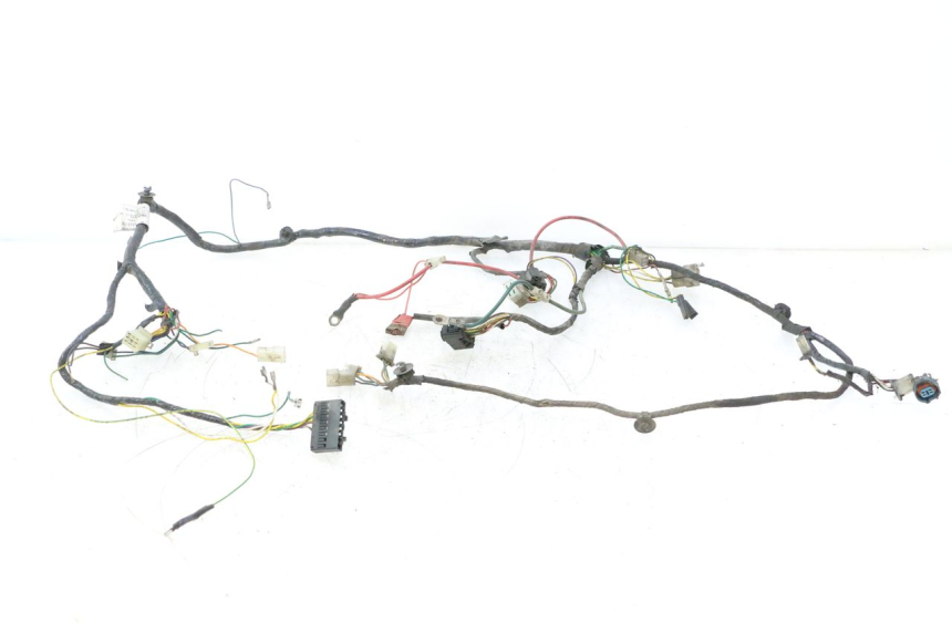 photo de FAISCEAU PEUGEOT LUDIX 50 (2005 - 2007) - Vista principale