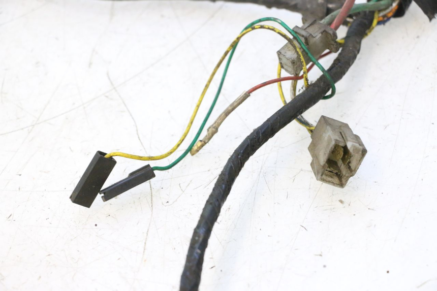 photo de FAISCEAU PEUGEOT LUDIX 50 (2005 - 2007) - Zoom sui componenti