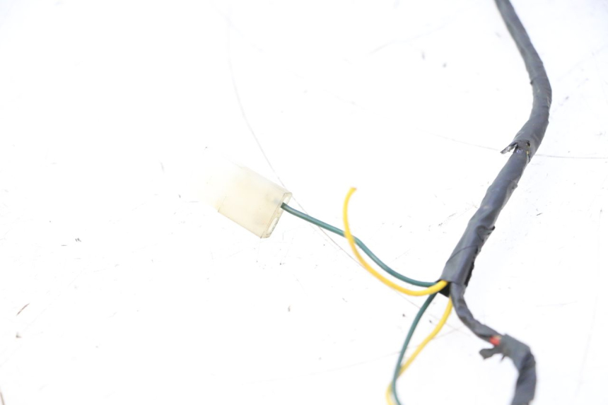 photo de IMPIANTO ELETTRICO PEUGEOT LUDIX ONE 14P 50 (2004 - 2013) - Ricambio usato controllato